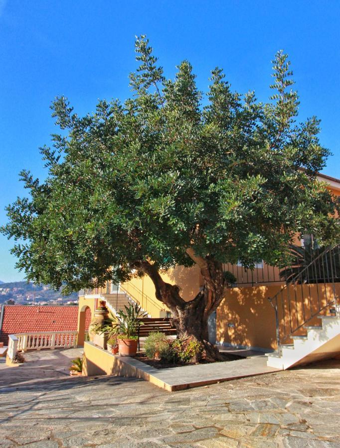 A Carubba Du Bungiurnu Villa Borgio Verezzi Exterior photo